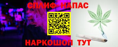 jwh Будённовск